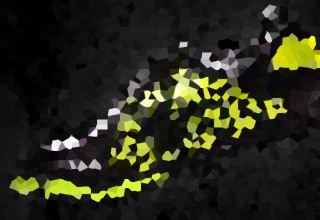 run free
with athlete